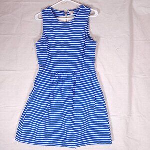 J. Crew Striped Pleated Ponte Dress Womens Medium Zip Back Blue White